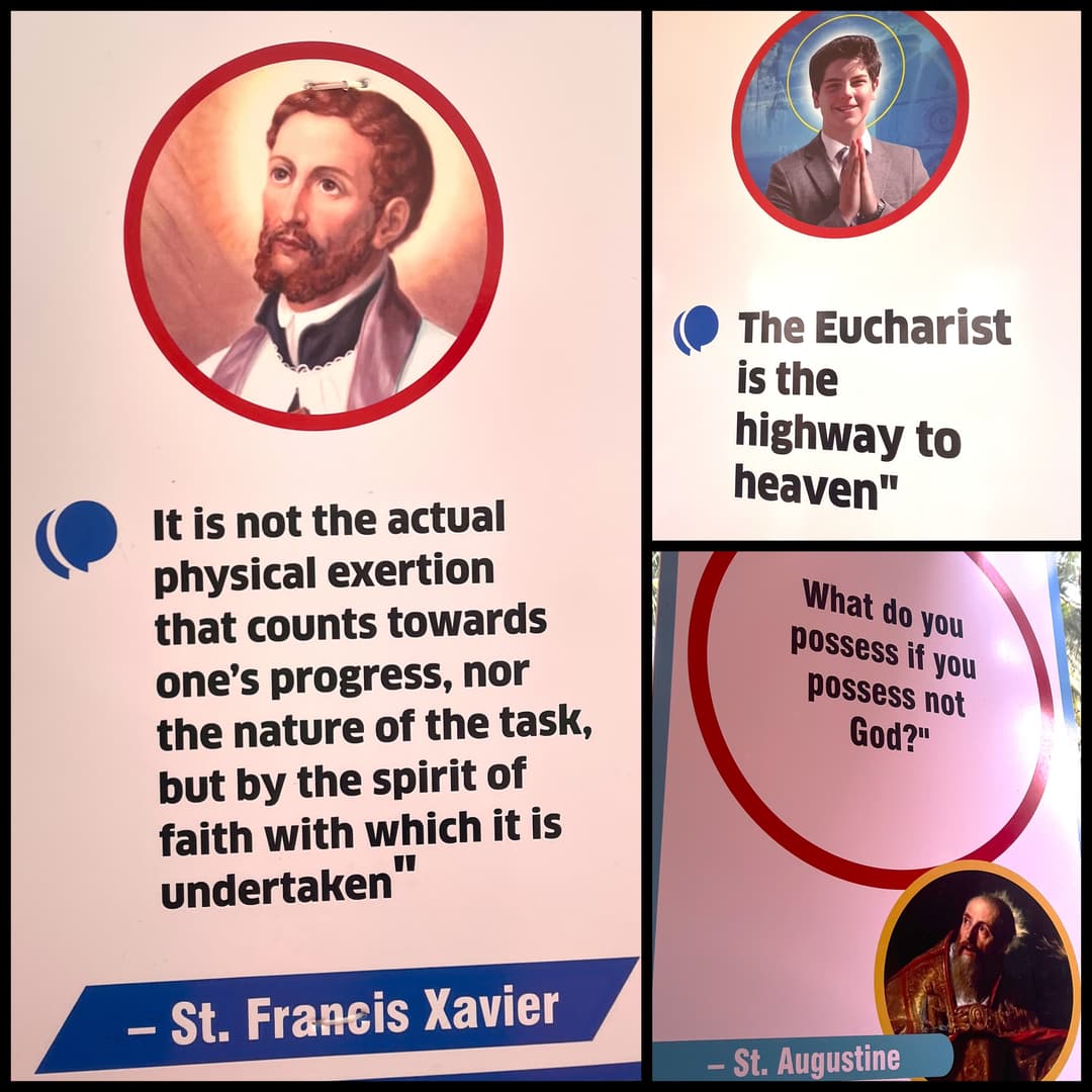 Timeless Reflections from the Saints (St. Francis Xavier, Blessed Carlo Acutis and St. Augustine)